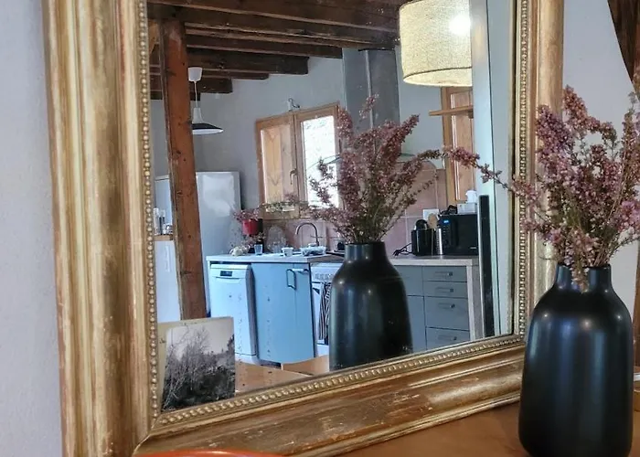 Du Mouliot * Castets